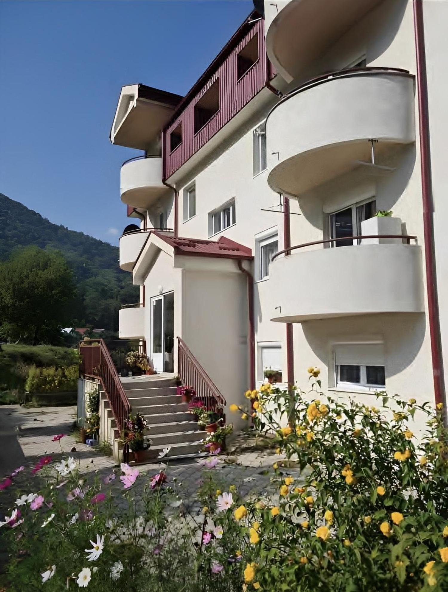 Elena Apartment Plužine Exteriör bild